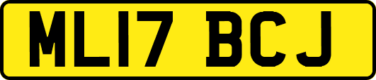 ML17BCJ