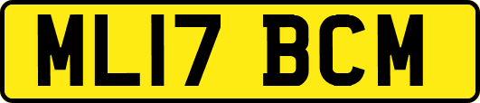 ML17BCM