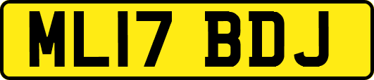 ML17BDJ