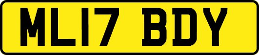 ML17BDY