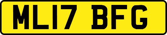 ML17BFG
