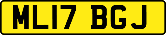 ML17BGJ