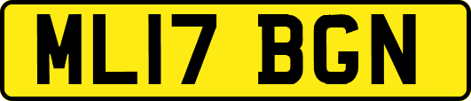 ML17BGN