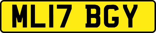 ML17BGY