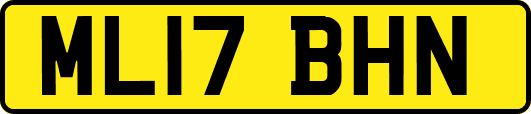 ML17BHN