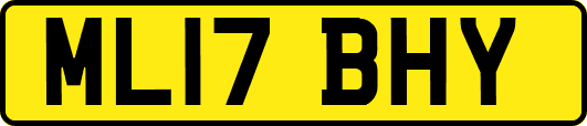 ML17BHY