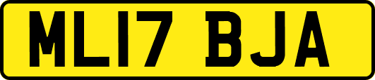ML17BJA