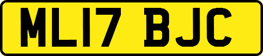 ML17BJC