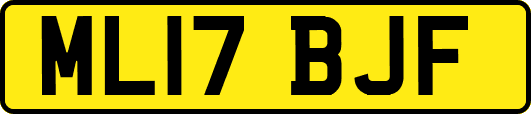 ML17BJF