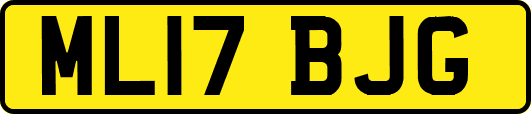ML17BJG