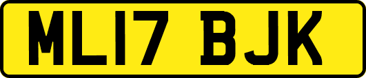 ML17BJK