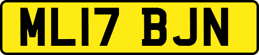 ML17BJN