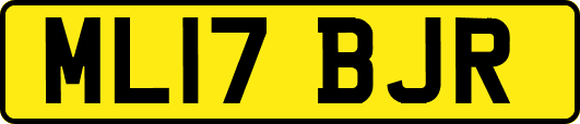 ML17BJR