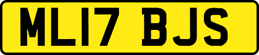ML17BJS