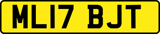 ML17BJT