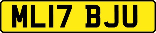 ML17BJU