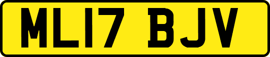 ML17BJV