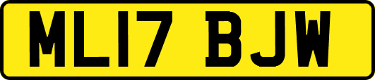 ML17BJW