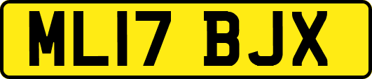 ML17BJX
