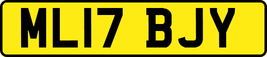 ML17BJY