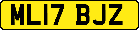 ML17BJZ