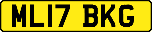 ML17BKG