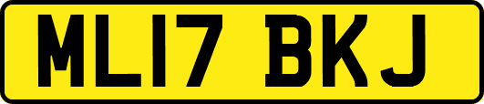 ML17BKJ