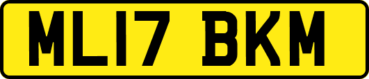 ML17BKM