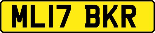 ML17BKR