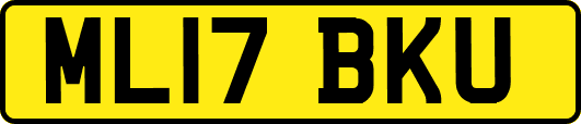 ML17BKU