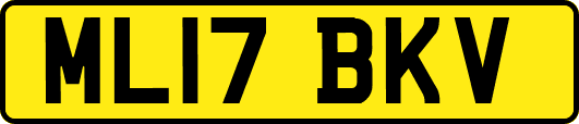 ML17BKV