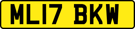ML17BKW