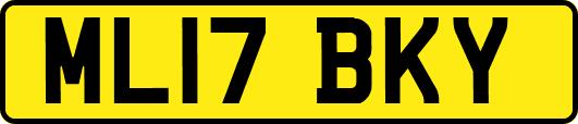 ML17BKY