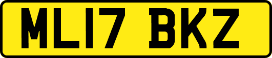 ML17BKZ