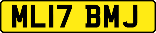 ML17BMJ