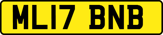 ML17BNB