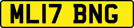 ML17BNG