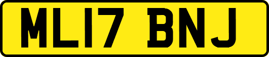ML17BNJ