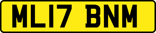 ML17BNM