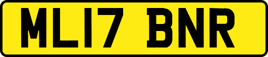 ML17BNR