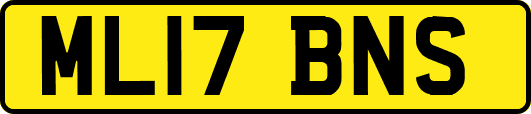 ML17BNS
