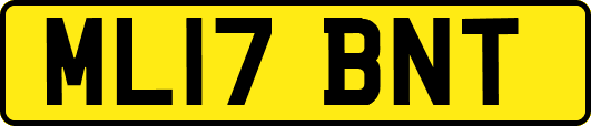 ML17BNT