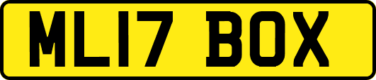 ML17BOX