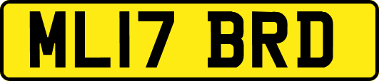 ML17BRD