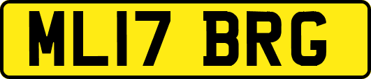 ML17BRG
