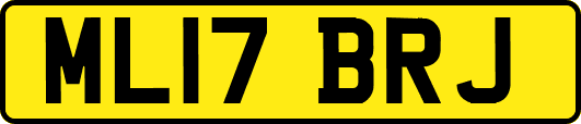 ML17BRJ