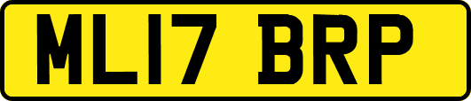 ML17BRP