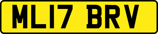 ML17BRV