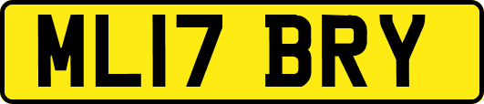 ML17BRY