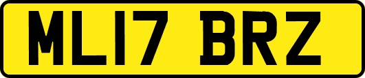 ML17BRZ